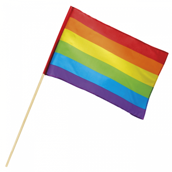 Hand vlag regenboog polyester (30 x 45 cm) met stok (76 cm)