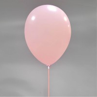 Ballondraagstaafjes / ballon stokjes met Cup | 100% biologisch afbreekbaar | 100 st Baby Roze