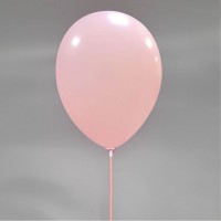 Ballondraagstaafjes / ballon stokjes met Cup | 100% biologisch afbreekbaar | 100 st Baby Roze