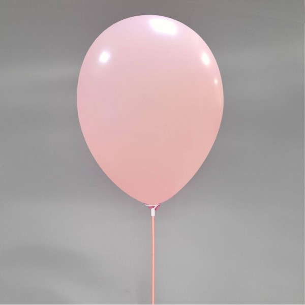 Ballondraagstaafjes / ballon stokjes met Cup | 100% biologisch afbreekbaar | 100 st