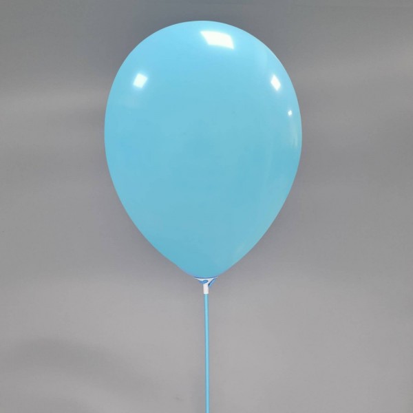 Ballondraagstaafjes / ballon stokjes met Cup | 100% biologisch afbreekbaar | 100 st