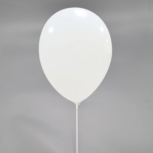 Ballondraagstaafjes / ballon stokjes met Cup | 100% biologisch afbreekbaar | 100 st
